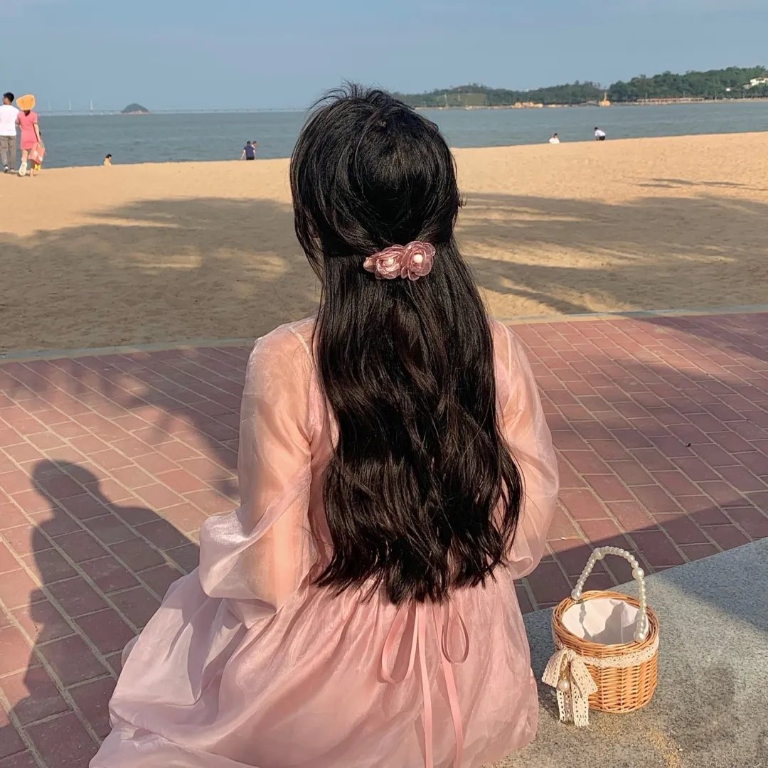 海豚的故事2
